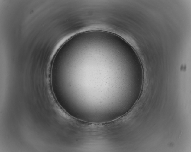 X0000091230912200708161714