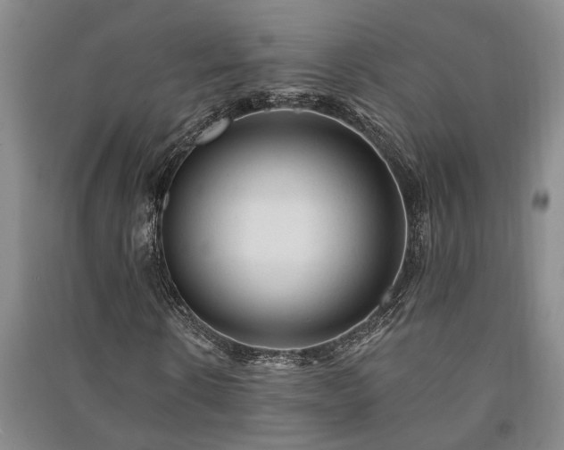 X0000091230914200708161713