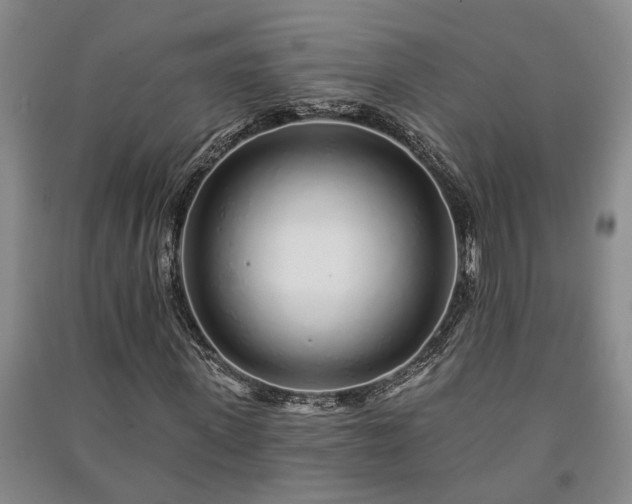 X0000091230915200708161713