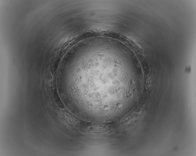 X0000091230917200708161713