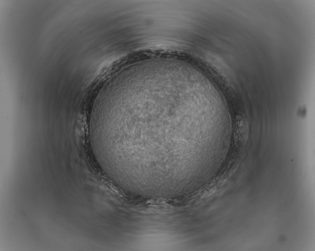 X0000091230918200708161713