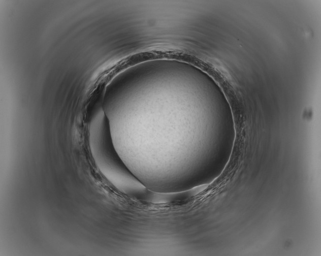 X0000091230920200708161713