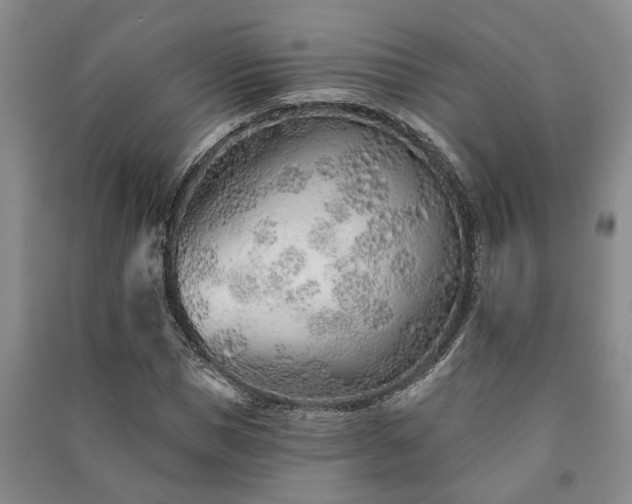 X0000091230921200708161713