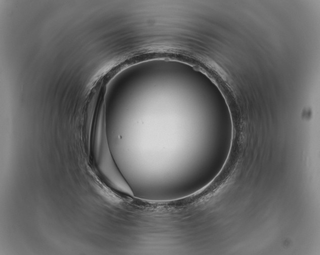 X0000091230922200708161713