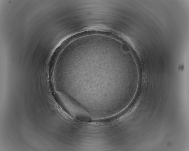 X0000091230923200708161713