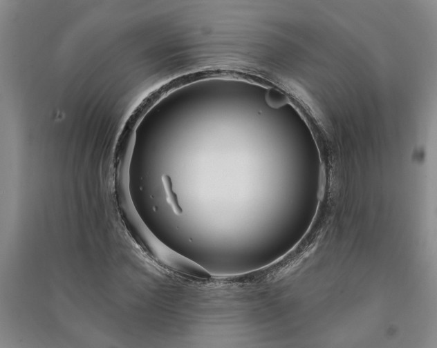 X0000091230924200708161713