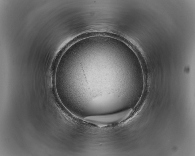 X0000091230925200708161713