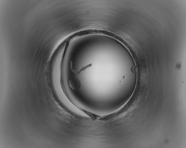 X0000091230926200708161714