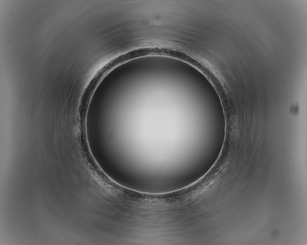 X0000091230927200708161714