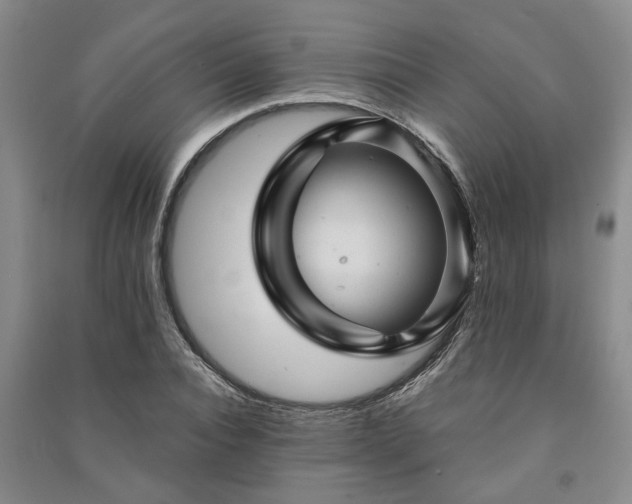 X0000091230928200708161714