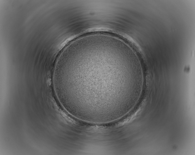 X0000091230929200708161714