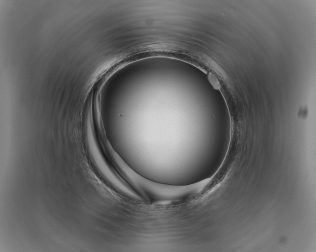 X0000091230930200708161714