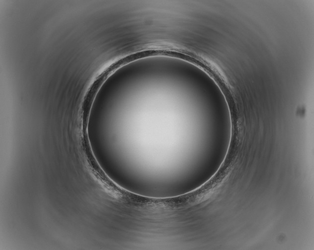 X0000091230931200708161714