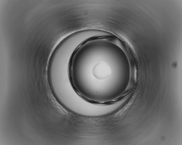 X0000091230932200708161714