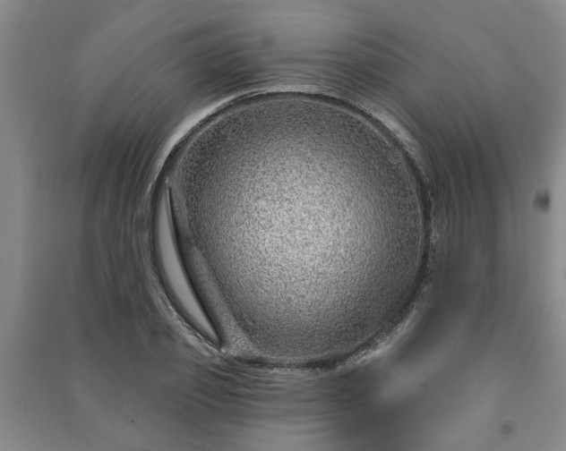 X0000091230933200708161714