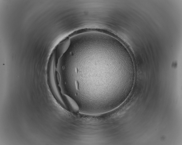 X0000091230935200708161714