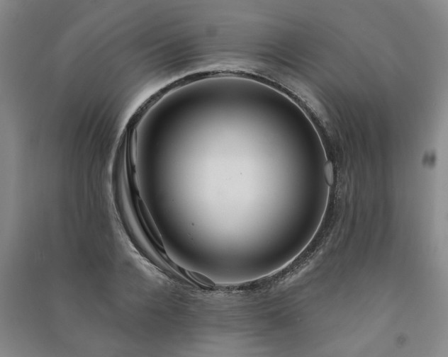 X0000091230936200708161714