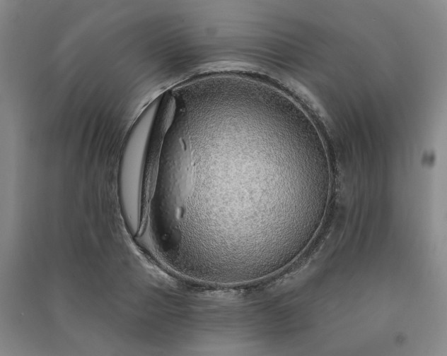 X0000091230937200708161714