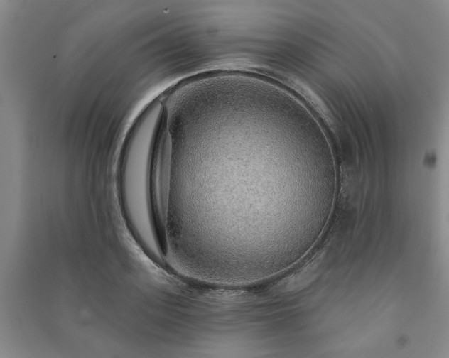 X0000091230939200708161714