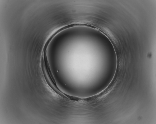 X0000091230940200708161714