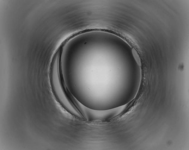 X0000091230942200708161714