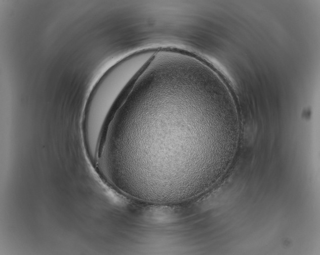 X0000091230943200708161714