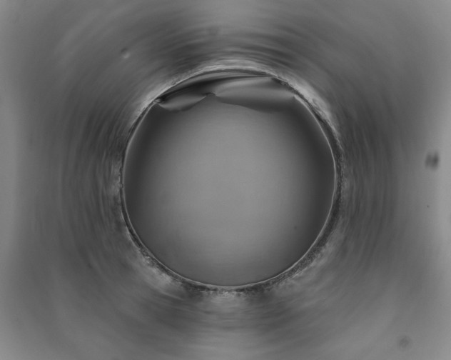 X0000091230945200708161714