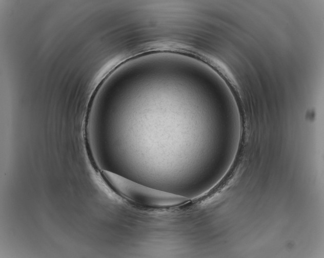 X0000091230946200708161714
