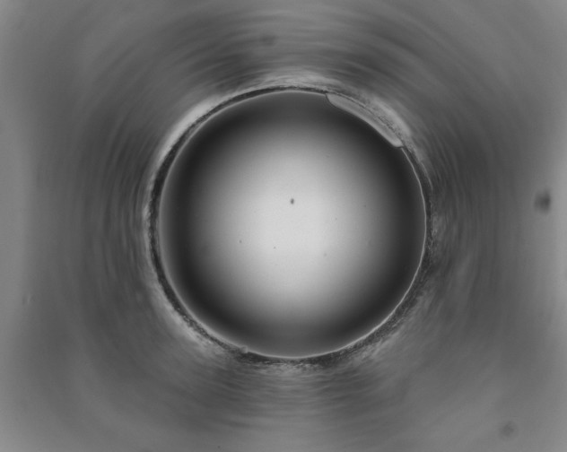 X0000091230947200708161714