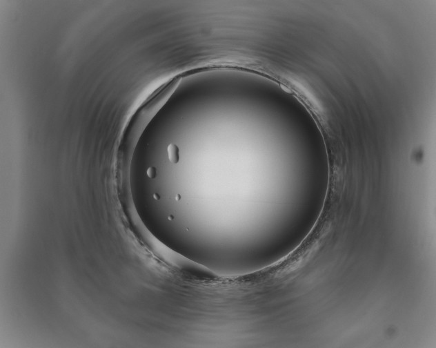 X0000091230948200708161714