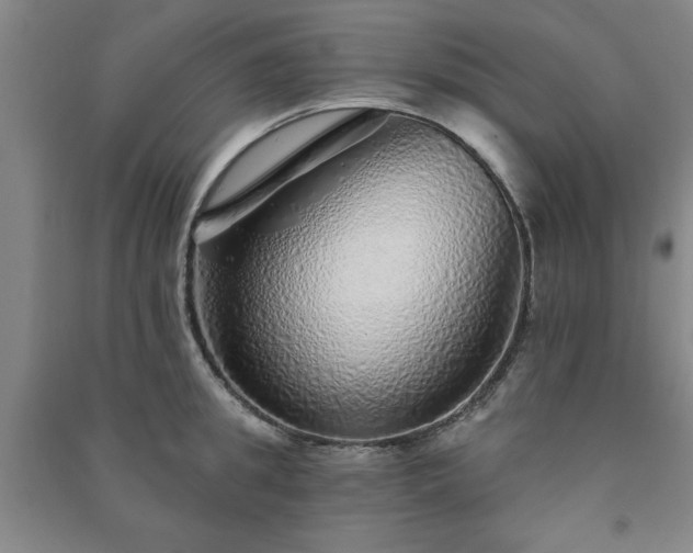 X0000091230949200708161714