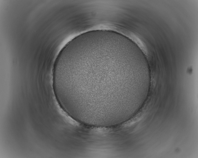 X0000091230950200708161714