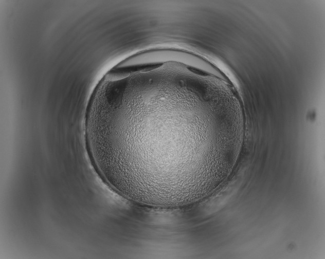 X0000091230951200708161714