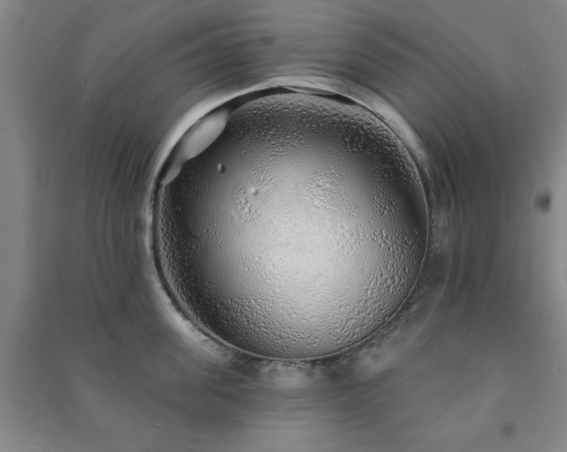 X0000091230955200708161714
