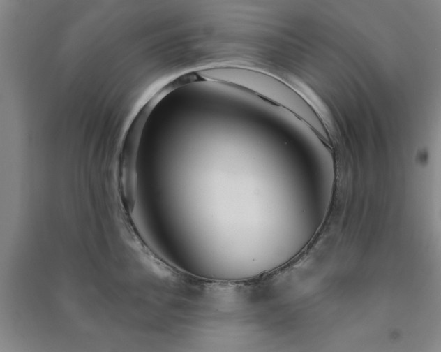 X0000091230956200708161714