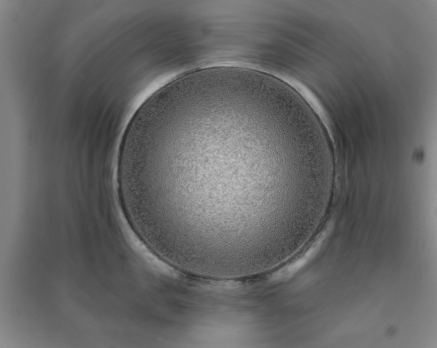 X0000091230957200708161714