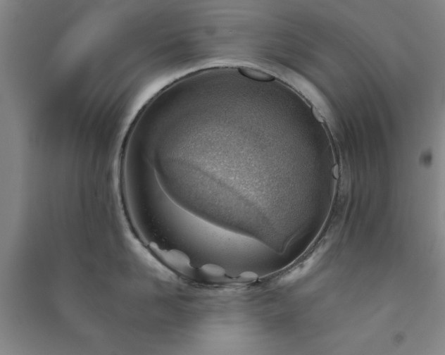 X0000091230958200708161714