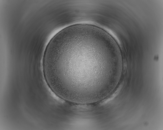 X0000091230959200708161714