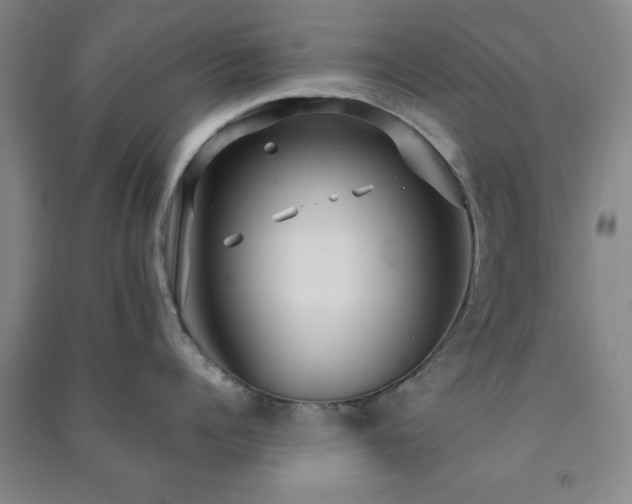 X0000091230960200708161714