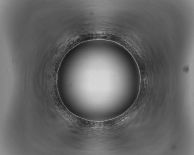 X0000091230961200708161713