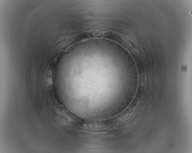 X0000091230962200708161713