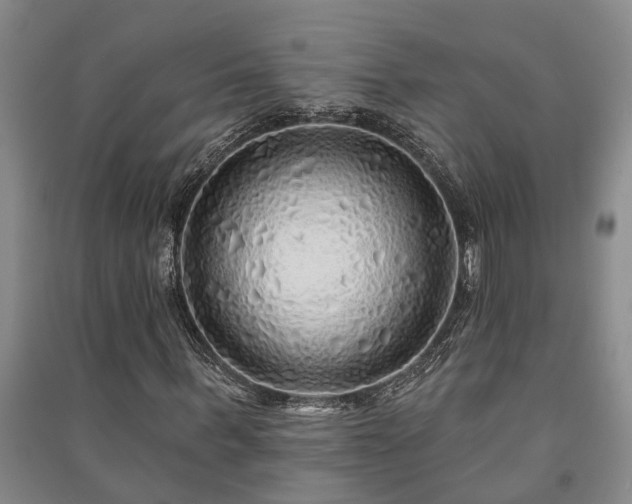 X0000091230963200708161713