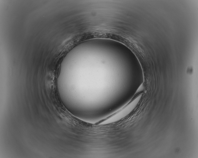 X0000091230964200708161713