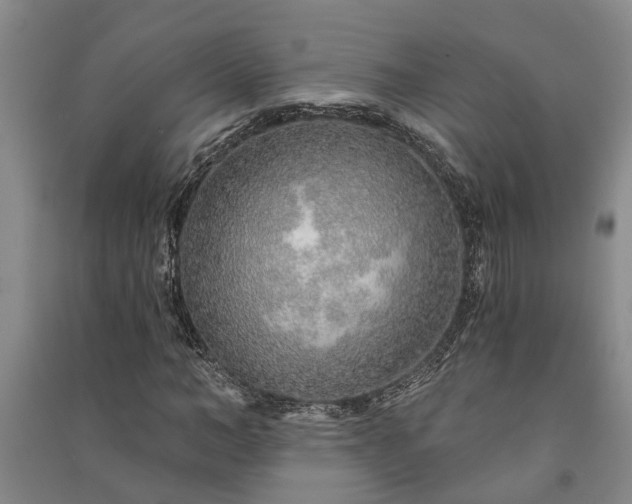 X0000091230966200708161713
