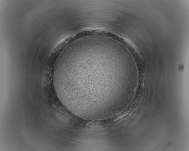 X0000091230967200708161713