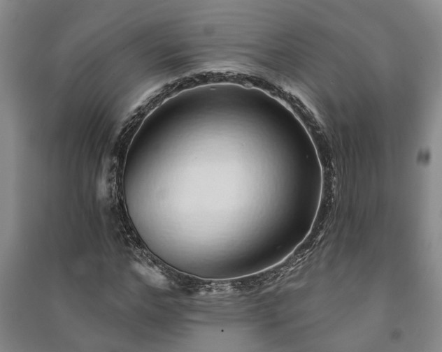 X0000091230968200708161713