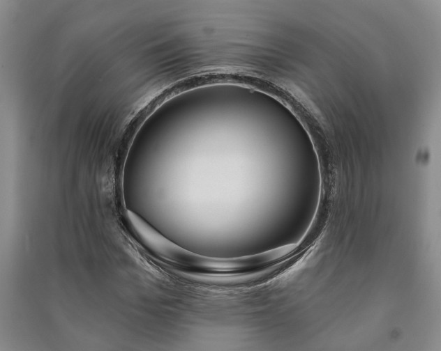 X0000091230969200708161713