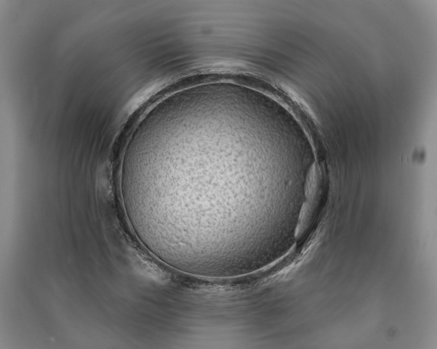 X0000091230970200708161713