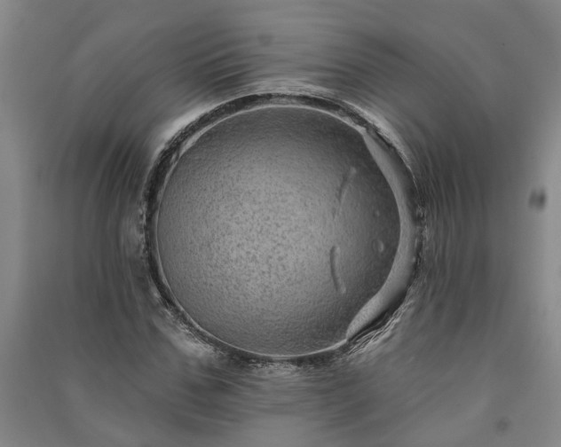X0000091230971200708161713