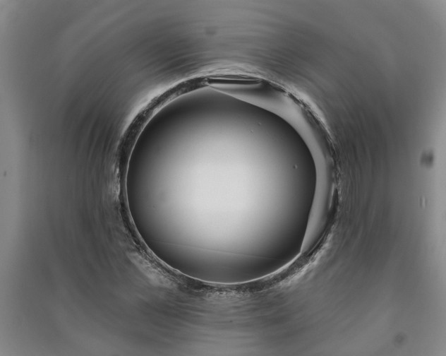 X0000091230973200708161713
